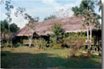 Amazonas Sinchicuy Lodge - Iquitos Per