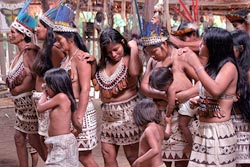 Nativos Boras - Iquitos