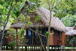 Muyuna Amazon Lodge - Iquitos Per