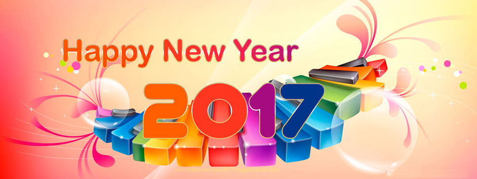 Año Nuevo 2017 - New Year's Day 2017