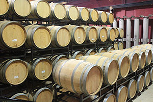 Bodega de vinos en Mendoza