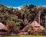 Explorer Inn Tambopata