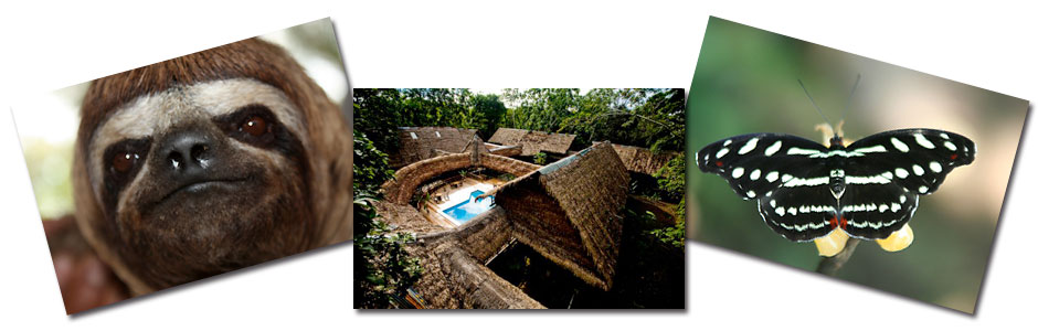 Tour en Heliconia Lodge Iquitos y Amazonas 4 dias