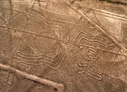 Lneas de Nazca - La Araa