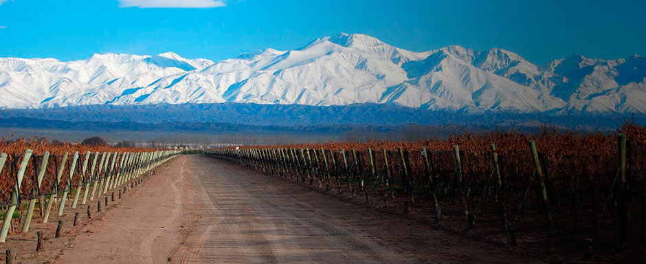 Paquete de Viaje Ruta del Vino en Mendoza