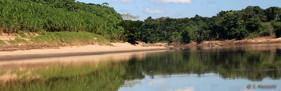Tour en Tambopata 4 das | Refugio Amazonas