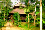 Wasai Tambopata Lodge
